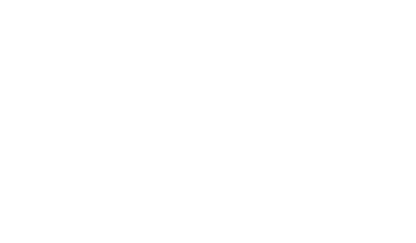 Chinashop